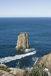 a scenic jetboat ride of the coast of cape hauy